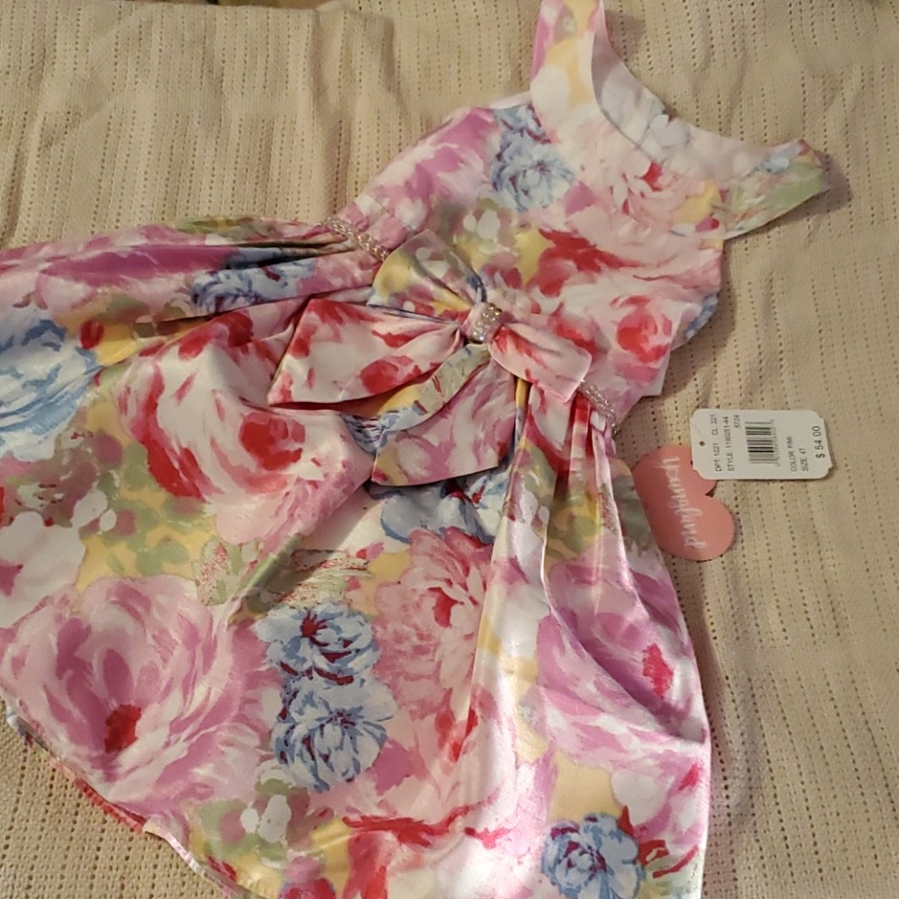 4 T Spring/Summer dress
